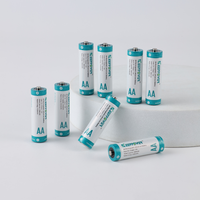 Keeppower baterai Lithium-ion 1.5V AA 4300mWh/2866mAh dengan 8 Pak dalam 2 casing plastik-tahan lama untuk kamera dan kunci (P1450I2)