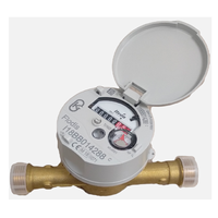 Module de modernisation du lecteur électronique d'impulsions pour compteur eau/gaz Itron Cyble, communication LoRa/LoRaWAN/NB-IoT 20 km+, autonomie de la batterie de 10 ans
