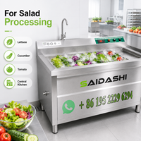 SAIDASHI Fruit- en groentewasmachine voor zeewier, kruiden en verse producten met ozonverwarming, luchtblazer en tank