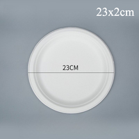 Assiettes en papier biodégradables de qualité alimentaire, jetables, robustes, grand format rond, pour pique-nique et fêtes en plein air, 23 cm