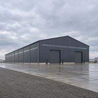 Atelier à grande portée en structure métallique, conception résistante aux vents forts, entrepôt métallique conforme à la norme EN, garage de stockage, bâtiment industriel