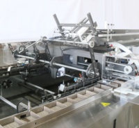 Machine à emballer automatique électrique de bâtonnets d'encens Agarbati Moteur PLC pour l'emballage de produits chimiques de produits alimentaires et de boissons