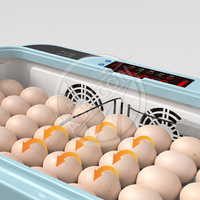 Incubateur d'œufs numérique entièrement automatique en plastique, capacité 48-96, contrôle de la température et de l'humidité, pour poulets, oies et oiseaux