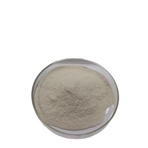 Nattoエキス20000 FU/g Nattokinaseカプセルナットキナーゼ - Product Image 3