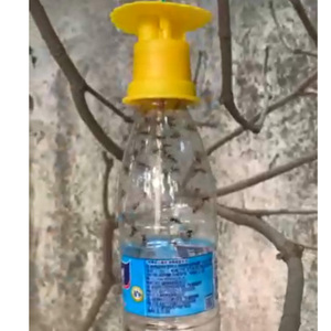 Mini atrapamoscas de frutas, trampa de feromonas fácil de usar para Control de plagas Bactrocera, palo de feromonas Bactrocera de plástico sólido - Product Image 1