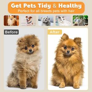 Peine para mascotas Peine para gatos Flotador Limpieza para el cabello Limpieza Masaje Peine integrado - Product Image 6