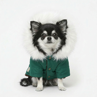 Jaypet Niedliche Baumwoll-Kratzschutzkleidung für Hunde und Katzen, Ganzjahres-Freizeitwesten, Halloween, Größen Groß/Mittel/Klein