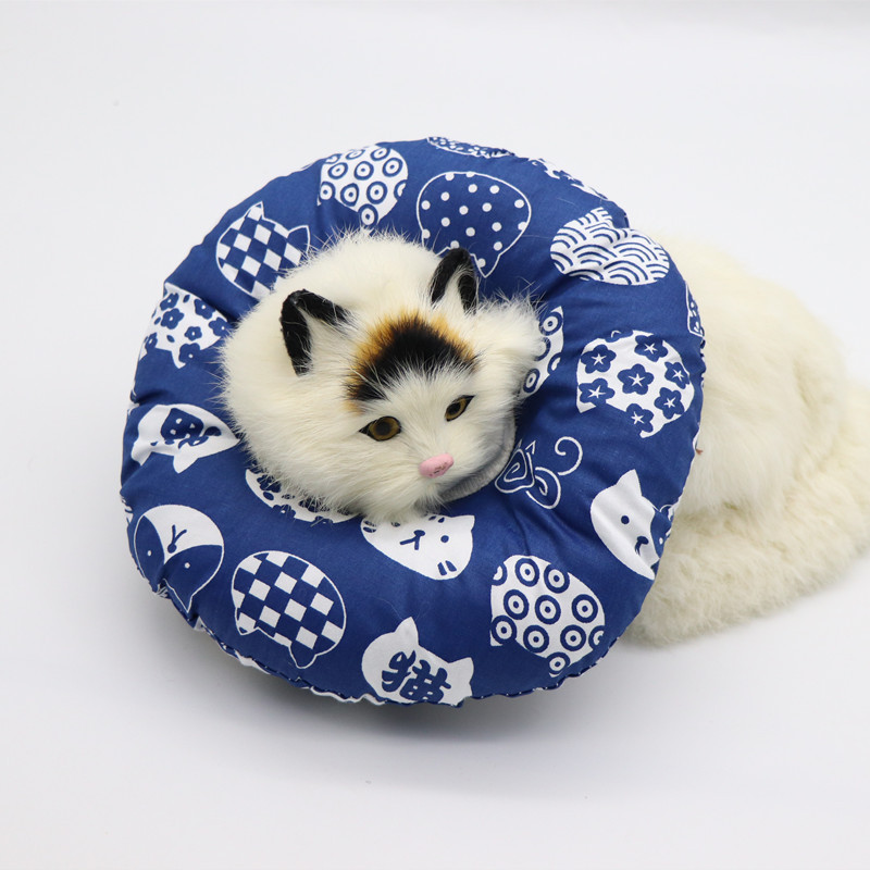 หัวแมวสีฟ้า