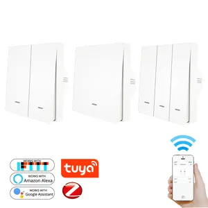 2022 new wifi remote double wall light smart switch with Alexa voice control function