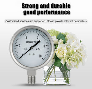 Zware, corrosiebestendige, slijtvaste drukmeter voor het testen van LPG-flessen in fabrieken - Product Image 5