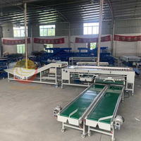 Automatische sorteermachine voor fruit en groenten (aardappel, bietenwortel, kerstomaat, sinaasappel, citroen) voor sortering op grootte in de 4e, 5e en 6e klas.