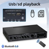 Amplificateur de puissance professionnel 5.1 Surround Sound avec radio FM pour spectacles en extérieur et home cinéma