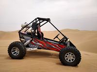 Easy-go, tout nouveau buggy tout-terrain à une place de 200 cm3/300 cm3 à grande vitesse pour adultes, buggy des dunes/buggy avec suspension indépendante