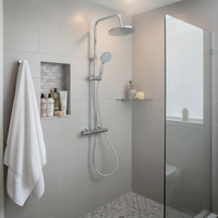 Cartouche de vanne homologuée ACS, test NSS ≥96 heures, colonne de douche murale en acier inoxydable avec mitigeur thermostatique