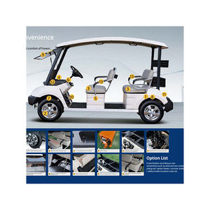 [HOWON EPS] Voiturette de golf à batterie au lithium à 2 places de haute qualité équipée de sécurité ABS KOTRA - Product Image 5