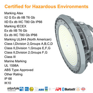 Iluminación para Áreas Peligrosas con 5 Años de Garantía, Aleación de Aluminio, Clasificación de Protección IP66, Lámpara LED a Prueba de Explosiones de 300W - Product Image 6