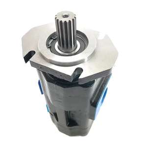 Bomba de Aceite Hidráulica Hansen JHP 2063 Gj1016, 15 Dientes, 1 Año de Garantía, Origen Shandong, Inspección por Video para Informe - Product Image 5