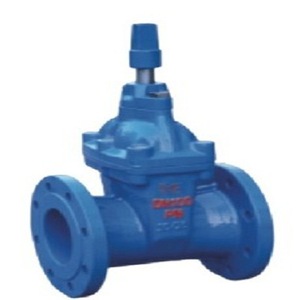 Vanne à opercule à joint souple Longyao Shuangyong Valve Manufacturing Sz45t 16 en fonte ductile pour eau basse pression, à opercule simple - Product Image 2