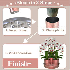 กล่องของขวัญหลอดกล้วยไม้แบบทำมือชุดหลอดดอกไม้ชุบด้วยไฟฟ้าสำหรับตกแต่งบ้านและการแสดงของขวัญวันหยุด - Product Image 6