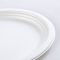 Assiettes de bagasse de 9 pouces jetables de haute qualité compostables assiettes en papier de bagasse de canne à sucre biodégradables blanches de 6 pouces