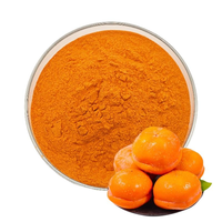 Poudre d'extrait de fruit de kaki biologique 100% naturel pur en vrac vente en gros