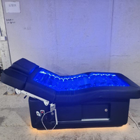 Lit de massage pour spa moderne, 2 moteurs, électrique, multifonctionnel, lit de massage aquatique pour la vente