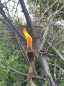 Encendedor de Cuerda de Cáñamo Natural para Acampar al Aire Libre y Senderismo - Product Image 4