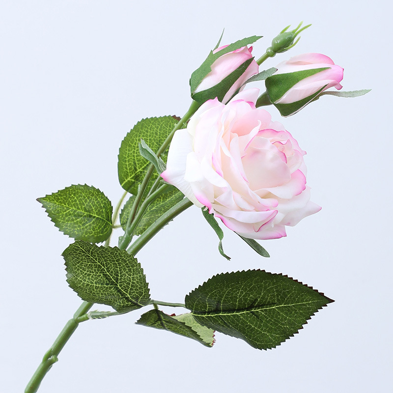 Rose3