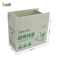 Cartons à œufs en carton ondulé recyclables et robustes pour œufs de poule - Emballage PP personnalisé écologique imprimé, 480 unités, pour cadeaux et achats