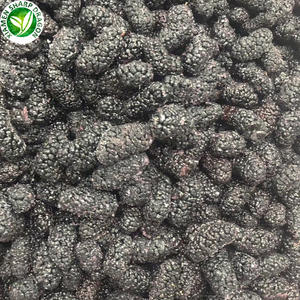 Pulpe <span class=keywords><strong>de</strong></span> fruits noirs IQF XMSD, mûres fraîches en vrac, congelées - Product Image 2