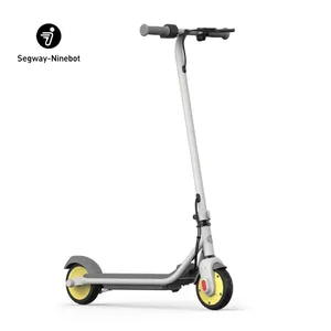 EU Stock E-Scooter ZING C10 Kids Smart Electric Scooter 16km/h Max Speed Children's Kickscooter 10km Max Range