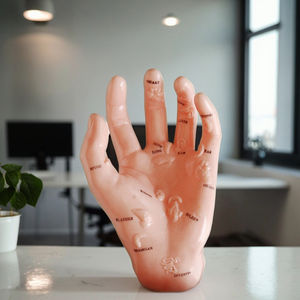 نموذج تدريب على الثقب ، منتج علمي طبي للتدريب على الوخز بالإبر الصينية ، نموذج الوخز بالإبر الطبية - Product Image 2