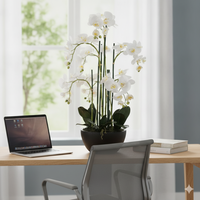 Plante en pot d'orchidée Phalaenopsis blanche artificielle personnalisée de 60 cm, fleur au toucher réel, décoration de table pour la maison et le bureau