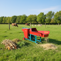 Broyeur de fourrage Honghao 1 tonne pour herbe, paille et ensilage, avec moteur, boîte de vitesses et roulement d'engrenage