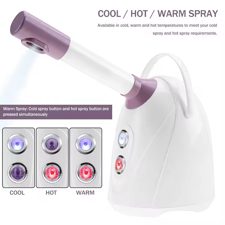 face steamer professional