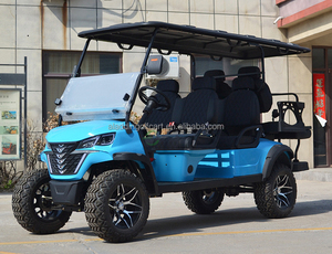 Contrôleur de voiturette de <span class=keywords><strong>golf</strong></span> électrique 3-4 places Island 48V, pièces de batterie au lithium, kits de carrosserie pour buggy de <span class=keywords><strong>golf</strong></span> et dune buggy - Product Image 3