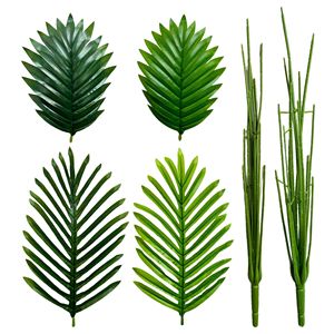 ต้นไม้สีเขียวสไตล์นอร์ดิก, ต้นสปาฟิลลัม, ใช้ตกแต่งเฟอร์นิเจอร์ห้องนั่งเล่นและต้นไม้กระถางใบเหล็ก - Product Image 3