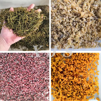 Machine à découper en dés les fruits secs (poisson séché, ananas, raisins secs) et les kiwis