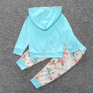 Sudaderas con Capucha de Flores para Bebés al por Mayor, Conjunto de Ropa de 2 Piezas para Niñas, Ropa Infantil de Calidad - Product Image 2