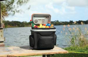 Glacière <span class=keywords><strong>et</strong></span> réchauffeur de voiture portable personnalisé en plastique grand format OEM 24L <span class=keywords><strong>12</strong></span> <span class=keywords><strong>volts</strong></span>, mini réfrigérateur de voiture - Product Image 3