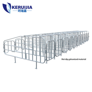 Lợn/Lợn nái/heo con/chuồng nuôi lợn/chuồng/chuồng/bút - Product Image 5