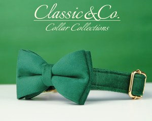 Emerald Vee Personalized <b>Dog</b> Collar Leash Set Flower Bow Design Engraved Silent Name Place Wedding Puppy Small/Medium/Large - Product Image 4