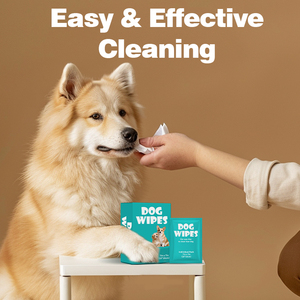 Toallitas para perros, paquete individual de 10 unidades, para limpieza fácil, material de fibra, productos para el cuidado de mascotas - Product Image 6