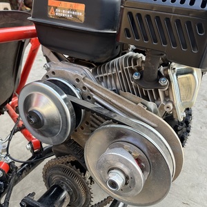Go-Kart de Gasolina de 212cc y 4 Tiempos, con Llantas de 8 Pulgadas, Todoterreno, para Niños y Adultos, para Carreras y Recreación al Aire Libre - Product Image 5