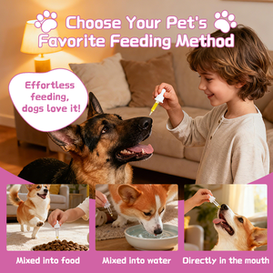 Bağışıklık desteği köpekler kediler için kollajen damlaları cilt Coat sağlık kollajen sıvı evcil doğal sığır kollajen sığır lezzet damla - Product Image 4