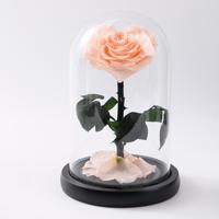 Fleur éternelle en forme de cœur, vraies roses séchées de haute qualité pour la fête des mères, anniversaire, cadeaux de vacances pour les amis et la famille