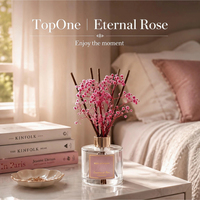 Diffuseur d'arômes à base de gypsophile naturelle préservée, grande capacité, avec boîte cadeau haut de gamme pour offrir