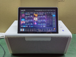Système de karaoké professionnel tout-en-un KTV, système de sonorisation commercial, microphone Bluetooth, lecteur de karaoké - Product Image 3