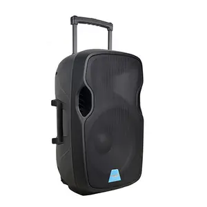 Accuracy Pro Audio CMB15AVX Active Trolley Speaker Battery Powered Plastic 15'' 120W Outdoor Powered Speaker Wireless Ezcast