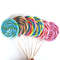 Bonbons sucettes artisanales géantes en spirale aux fruits arc-en-ciel, emballage individuel, 8,8 oz, fabrication OEM/ODM directe usine